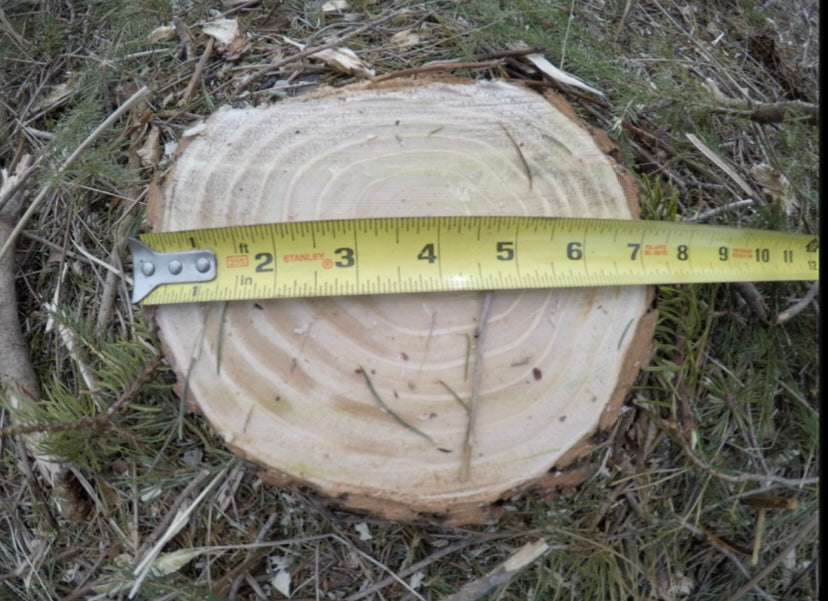 Forax Equipment Groomer Brush Cutter (1,000 lbs.)| 15-Foot Reach|72-inch Cutting Width|25-30 GPM hydraulic flow| For Tractor|